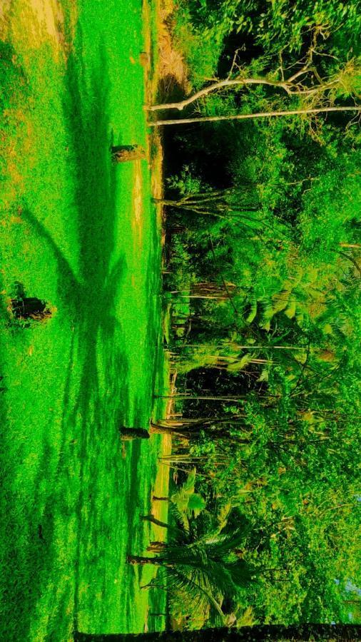 Parati Casa エクステリア 写真