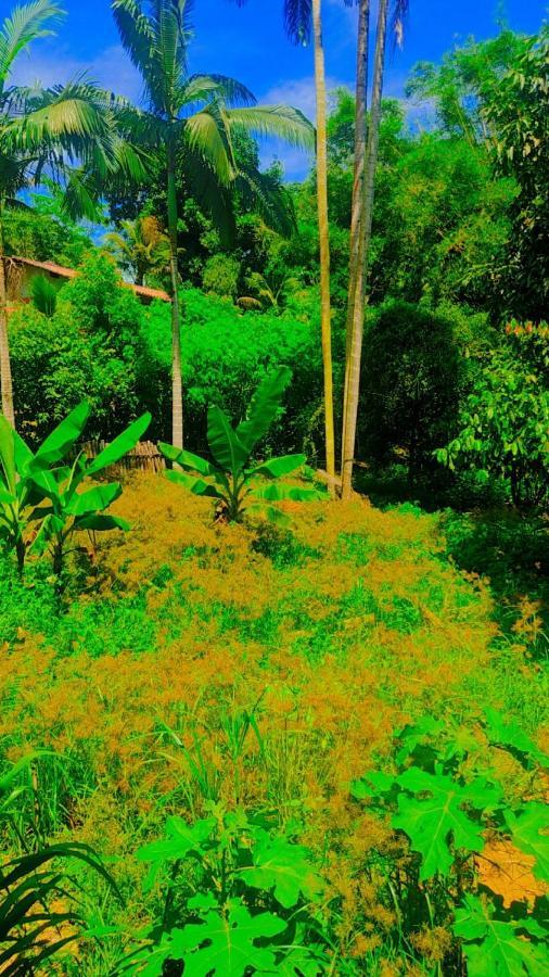 Parati Casa エクステリア 写真